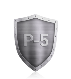 ideal-file-shredder-high-security-shield-p5