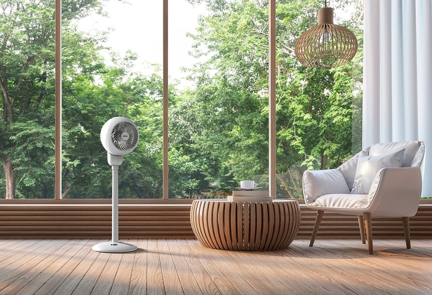 IDEAL-FAN1-C-AdobeStock-139745097-head-turned-small1300px-web-3